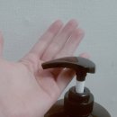 care mate | 여성용 탈모샴푸 추천 바디브 미오 마테 루트 두피케어 후기