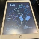 J·J헬스클럽 2호점 | 뚜벅이의 2박3일 엄마랑 제천 '포레스트 리솜' S25 솔직후기(비용/시설/방 배정Tip 등)