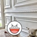 아베끄마망 돌사진 촬영 후기(가격, 구성, 촬영Tip 등)