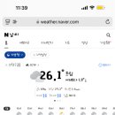 내게온 봄 이미지
