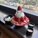 성원디아망타운 | 요아정스타일로 설빙먹어보기 딸기요거트설빙 초코시럽추가 후기 토핑추천