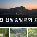 중앙장묘개발