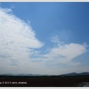 소래습지생태공원 이미지