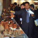 오늘의 종합 포토 뉴스(05/11/11) 이미지