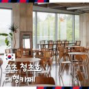 스텔라 | 강원도 속초 여행 갈만한 곳 청초호 호수 뷰 내돈내산 대형카페 마리스텔라 후기