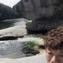 대극천 납작 복숭아 망고 애플 복숭아 홍매실 이미지
