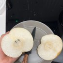 버니즈마켓