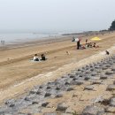 바다다방 이미지