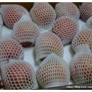 미루농원 이미지