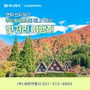 세화여행사 이미지