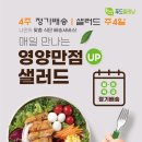 샐러드 이미지