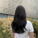 주란헤어샵