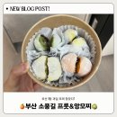 부산 1티어 과일모찌집 발견! “ 소풍길 프룻&amp;앙모찌 ” 솔직 후기