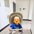 샤인카 | 에이블 코지샤인, 유모카플러스 장단점 비교 내돈내산 사용후기