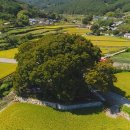 한국기행/ 죽기 전 한 번쯤, 명당 - 1. 명당의 정석, 안동 하회 마을 ~ 5. 바다에 핀 연꽃, 연화도 이미지