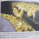 신성하이테크 발전소 | [서평] 사피엔스 제4부 : 과학혁명