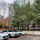 드림메디칼(주) | 영덕동피부관리 광교피부관리 겨울철피부관리-올가드림뷰티 용인흥덕마을점