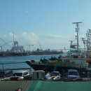 자갈치시장 이미지