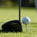 골프킹 아카데미 이미지