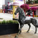 泣斬馬謖 이미지