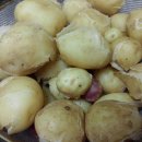 도현이네 농장 이미지