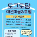 도그애견미용실 이미지
