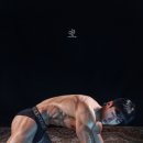 강릉헬스 네이버블로그
