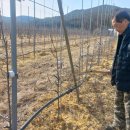 효진축산 이미지