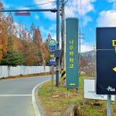 나무와중학교 이미지