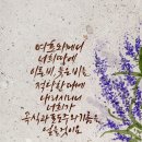 꿈을담는디지털드로잉 이미지