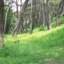 기장중학교 이미지