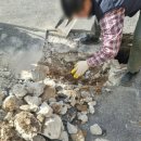 영도빌딩 이미지