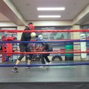 화랑복싱체육관 이미지