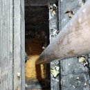 24시부분정비 이미지