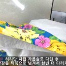 하와이안 훌라 이미지