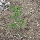 우승농장 이미지