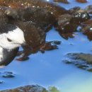 카페수련 이미지