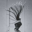 쉐도우(Shadows) 이미지