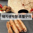 막창대세