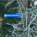 공주밤나무 이미지