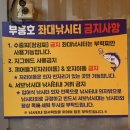 부흥호가두리낚시터 이미지