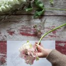 플로리스트자격 이미지