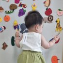 꼬숑.ccoshong 이미지