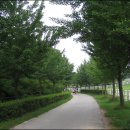 길로목장 Daum카페