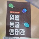 영월통로 | 영월동굴생태관 | 고씨굴과 함께 가볼만한 곳 | 영월 가볼만한 곳 (25.08.16)
