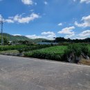 이어도공인중개사사무소 이미지