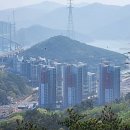 청량산 임도1 이미지