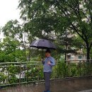 진성종합상사 이미지