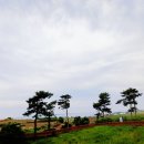 상모리-24 이미지