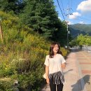 정빵순